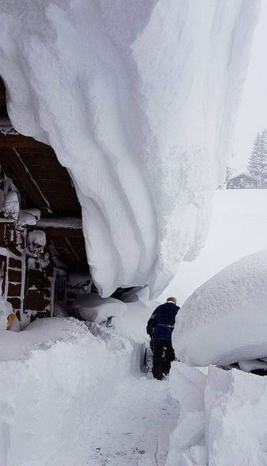 View image on Twitter